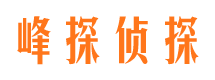 麻栗坡侦探公司